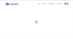 Desktop Screenshot of gaam.com.br